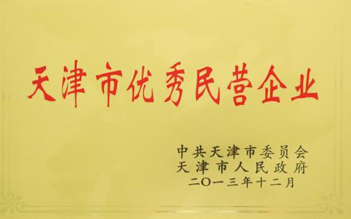 天津市優(yōu)秀民營企業(yè)